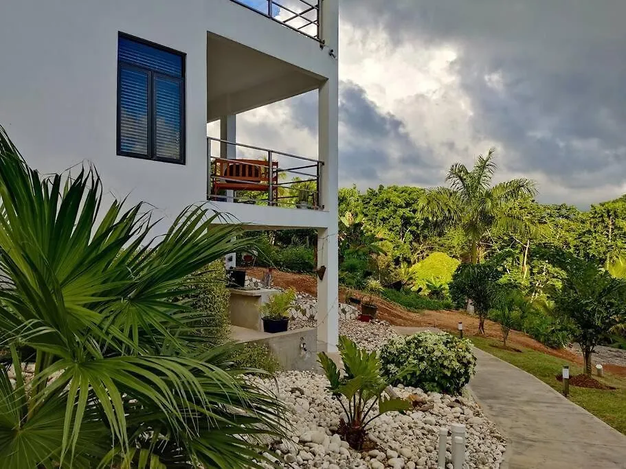 The Willow Apartment Ocho Rios 0*,