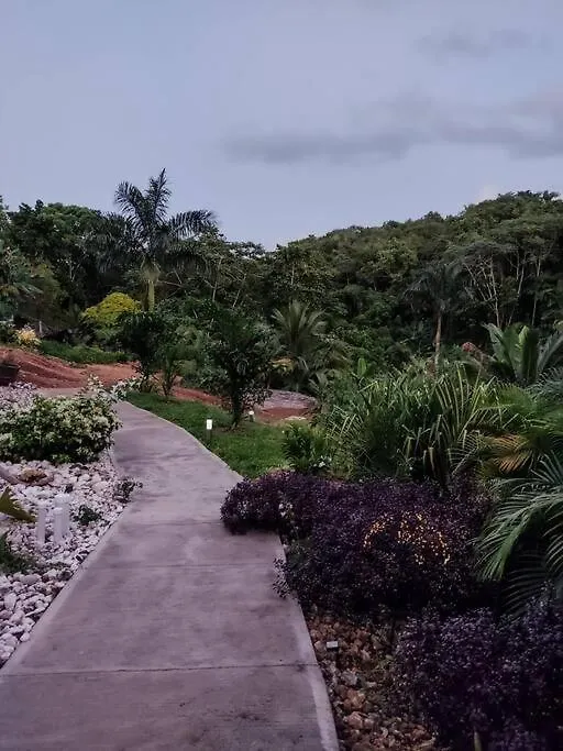 The Willow Apartment Ocho Rios Jamaica