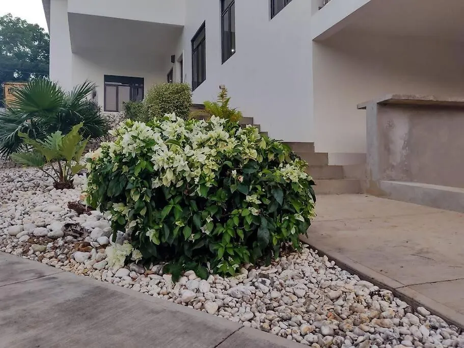The Willow Apartment Ocho Rios